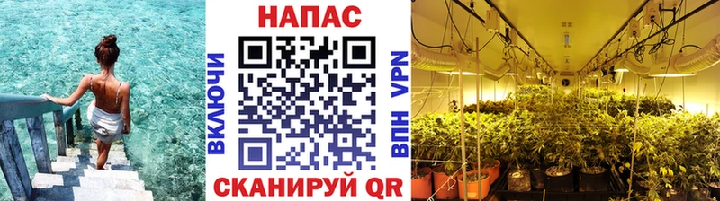 Бошки Шишки ГИДРОПОН цены наркотик Семилуки